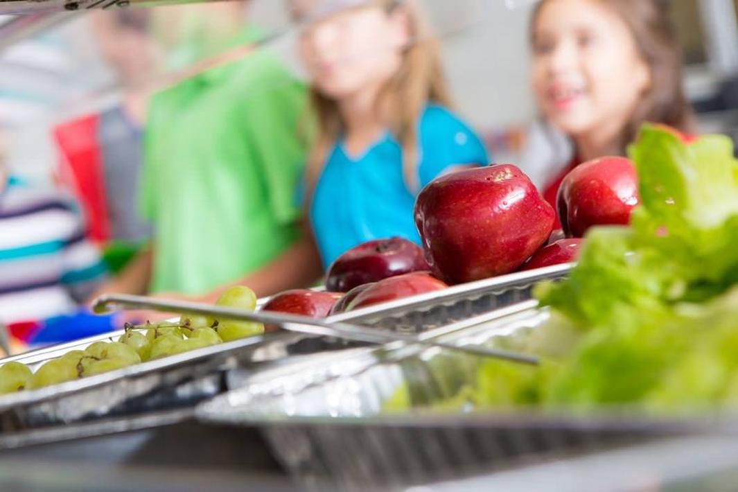 servicio de comedor para centros escolares